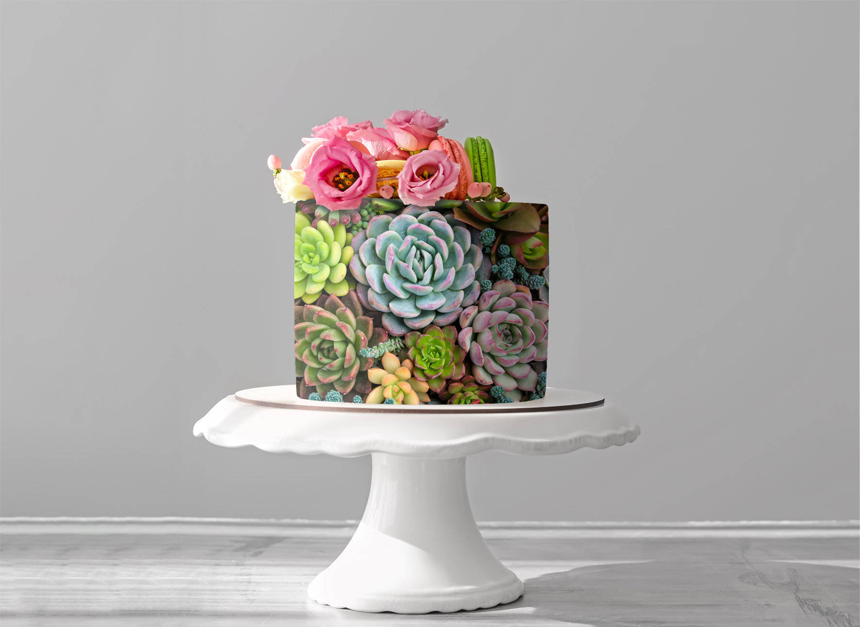 Deko Fondant Succulenten