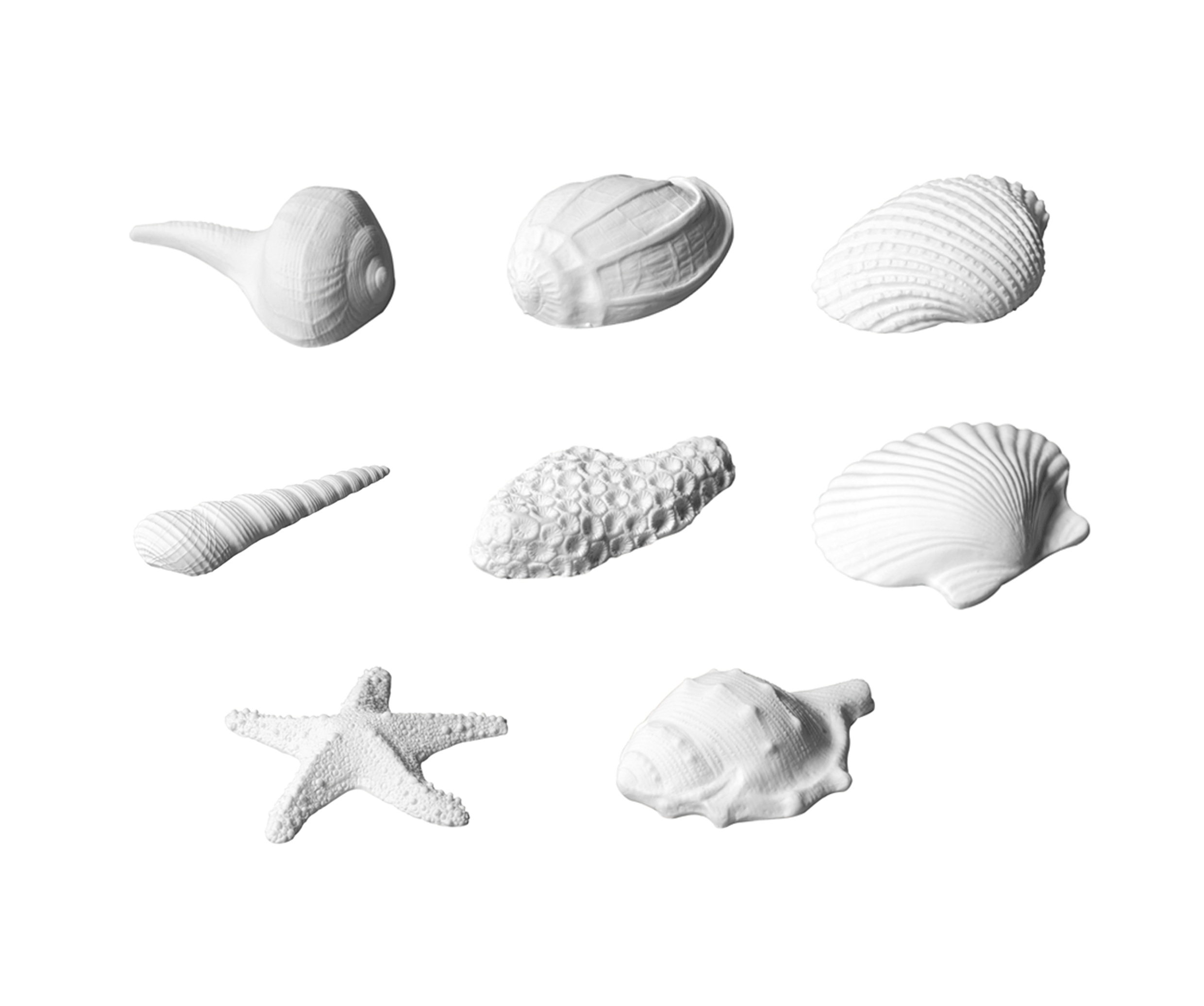 Zuckerdekoration Muscheln
