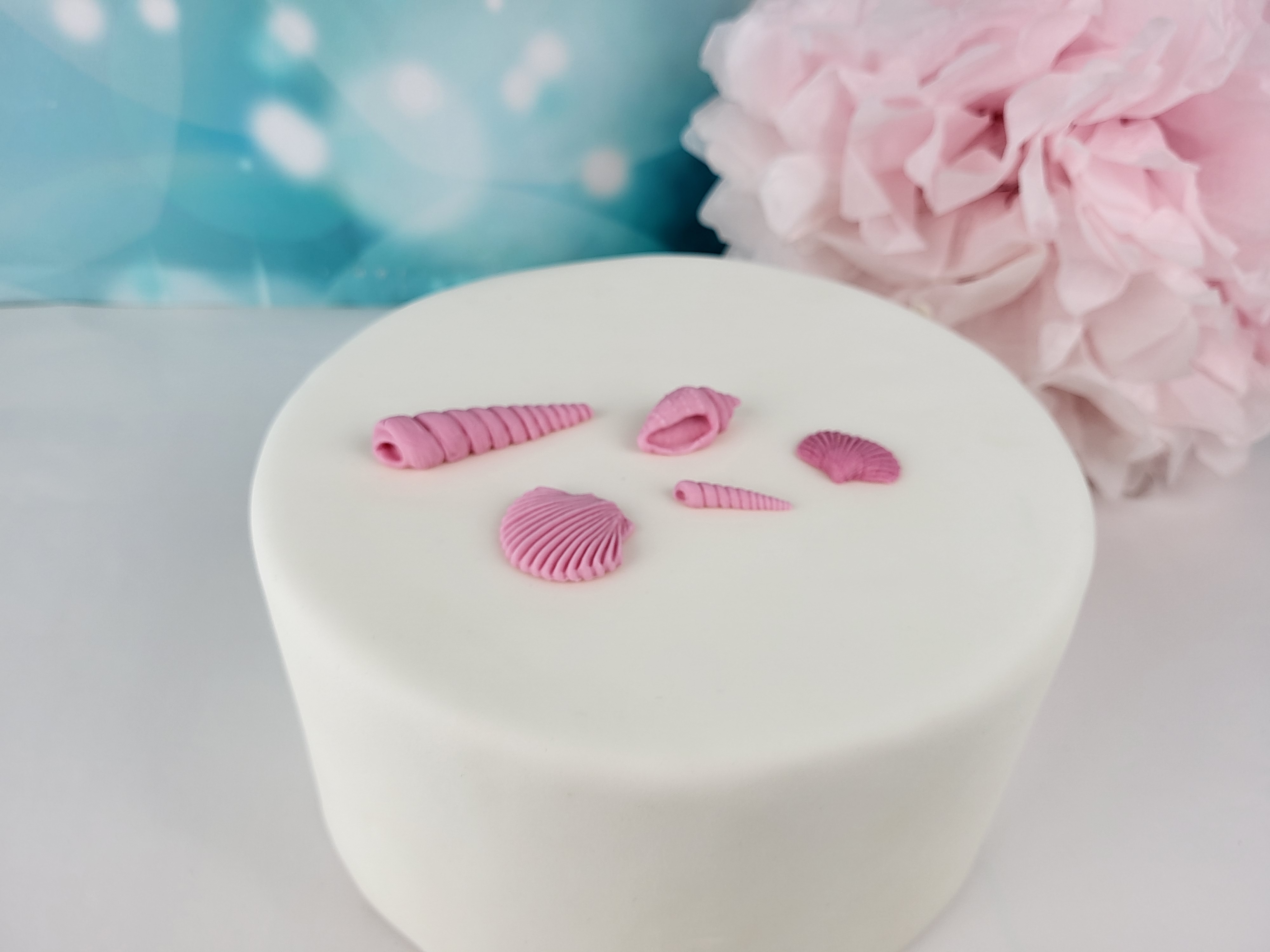 Zuckerdekoration Muscheln Rosa