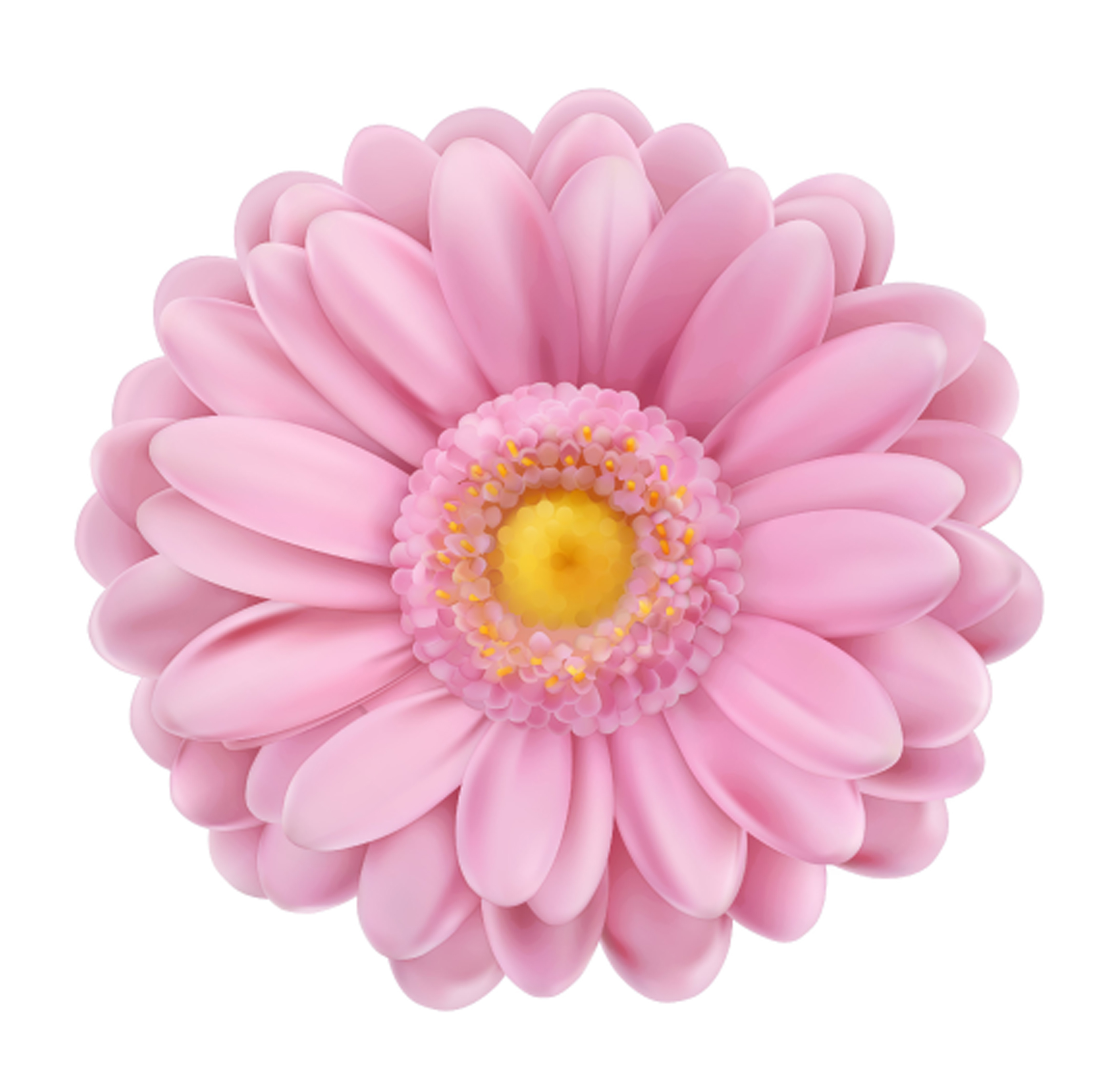Blumenaufleger Pink Gerbera – Muffinaufleger / Cupcake Deko