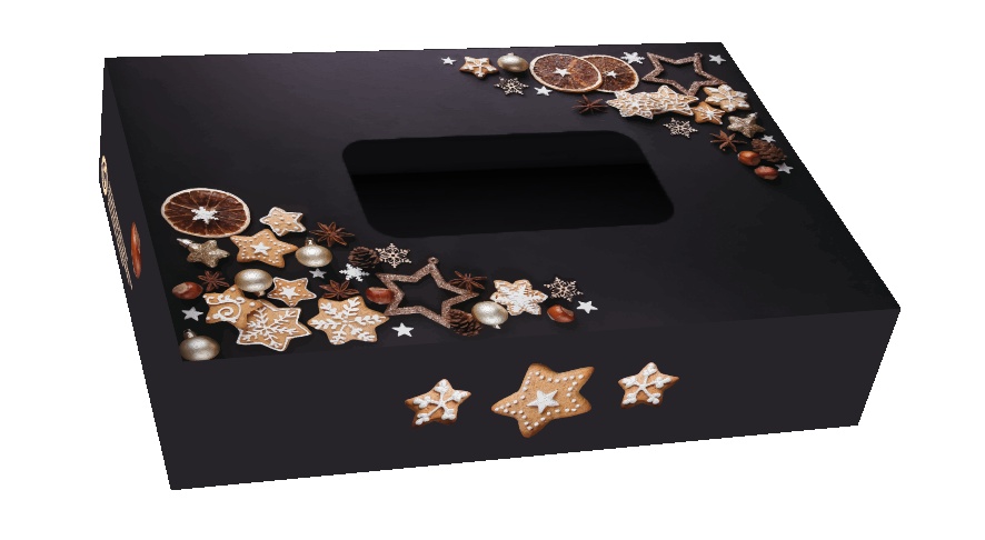 Keksbox Weihnachten mit Sichtfenster und Sterne 22 x 15 x 5 cm