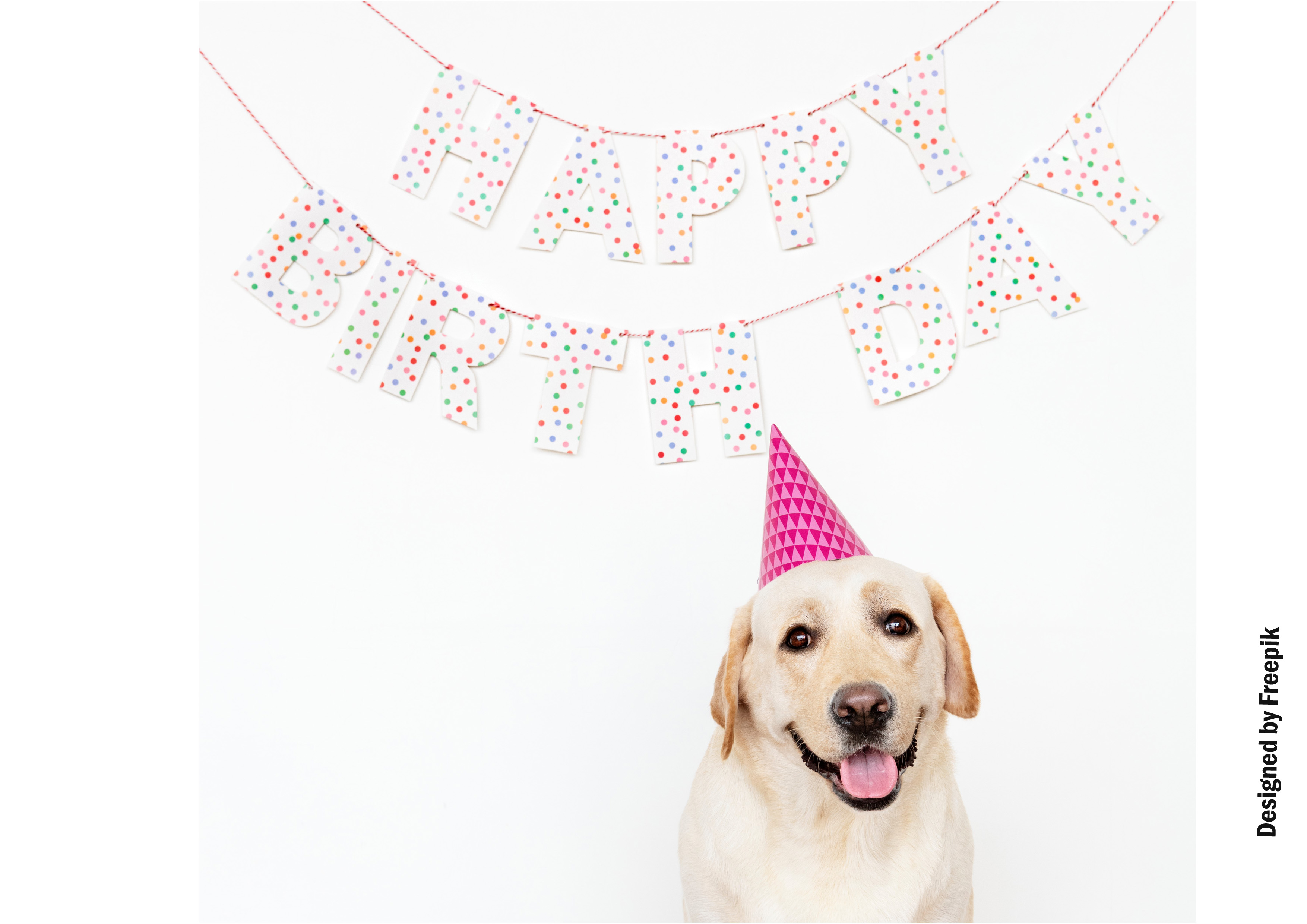 Tortenaufleger Geburtstag  Hund