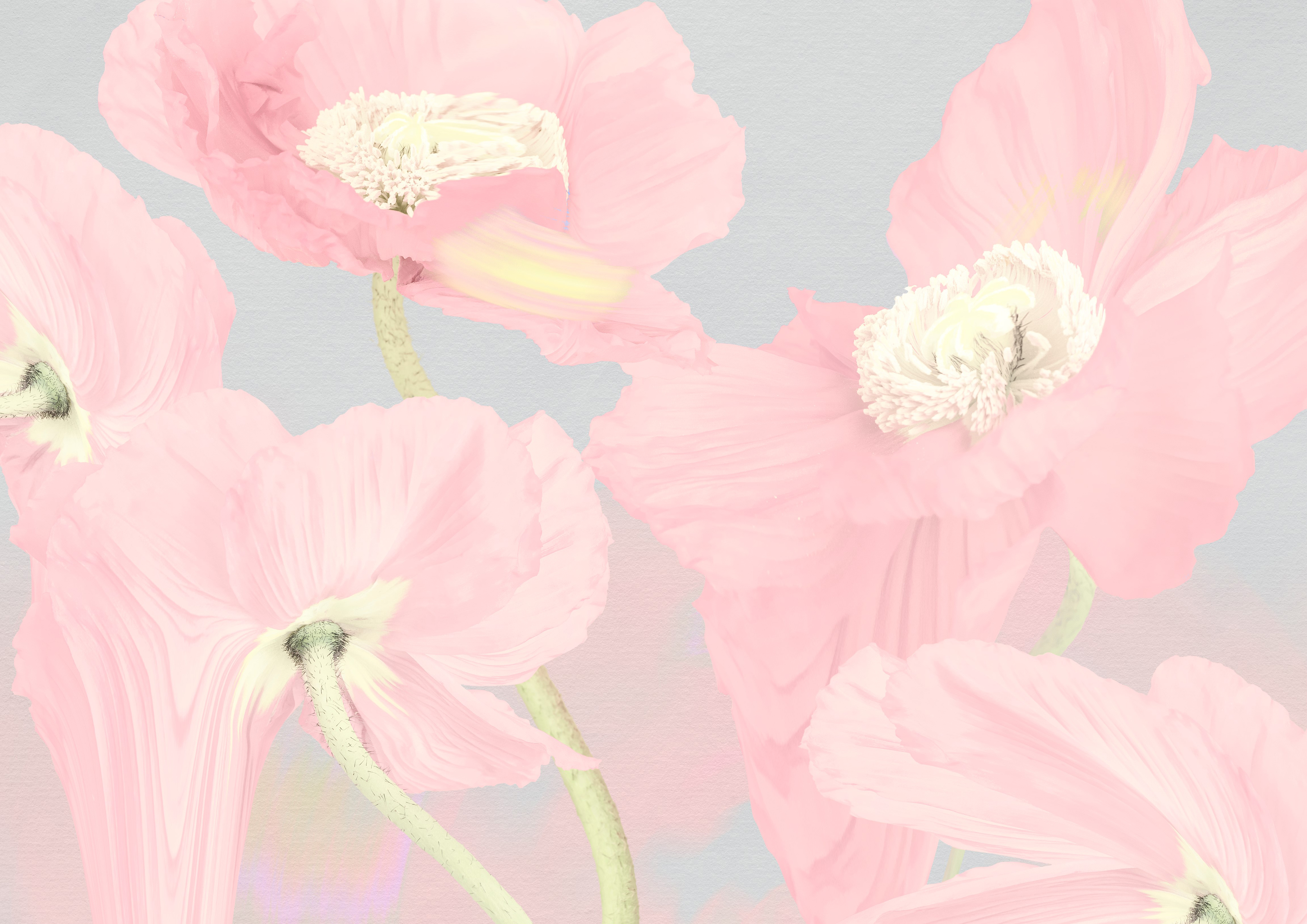 Wafer Paper / Oblatenpapier  Blumen