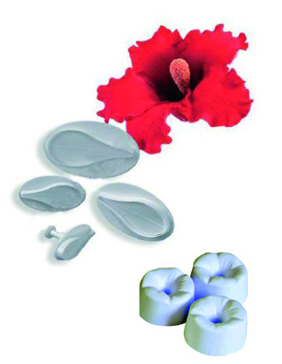 Ausstecher Hibiskus Set