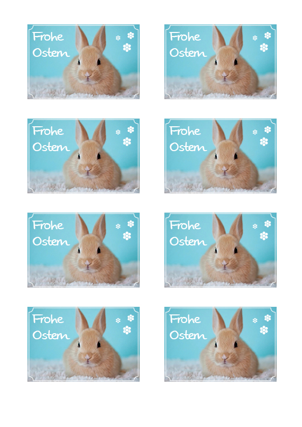Fondant Kärtchen Frohe Ostern
