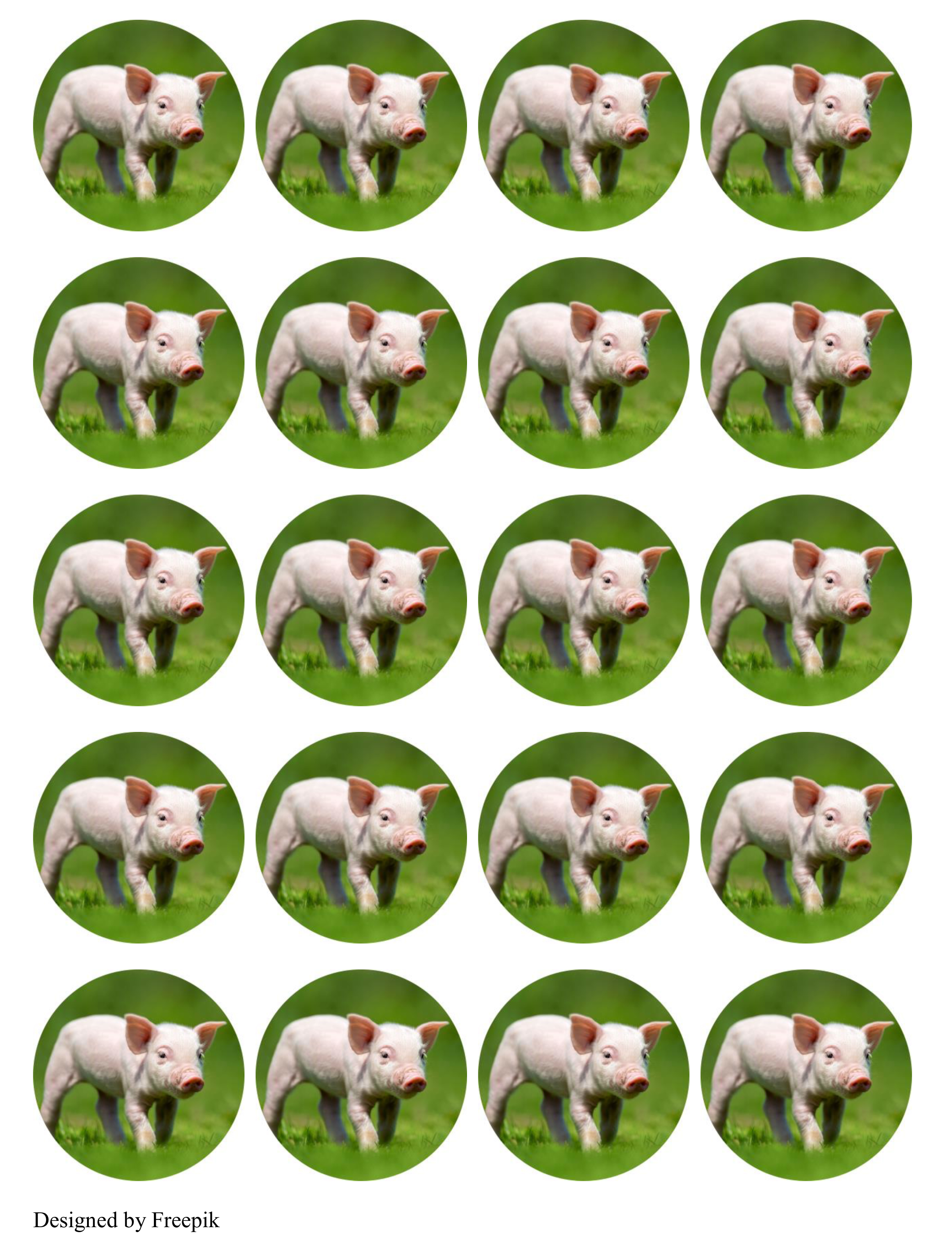 Muffinaufleger Schwein