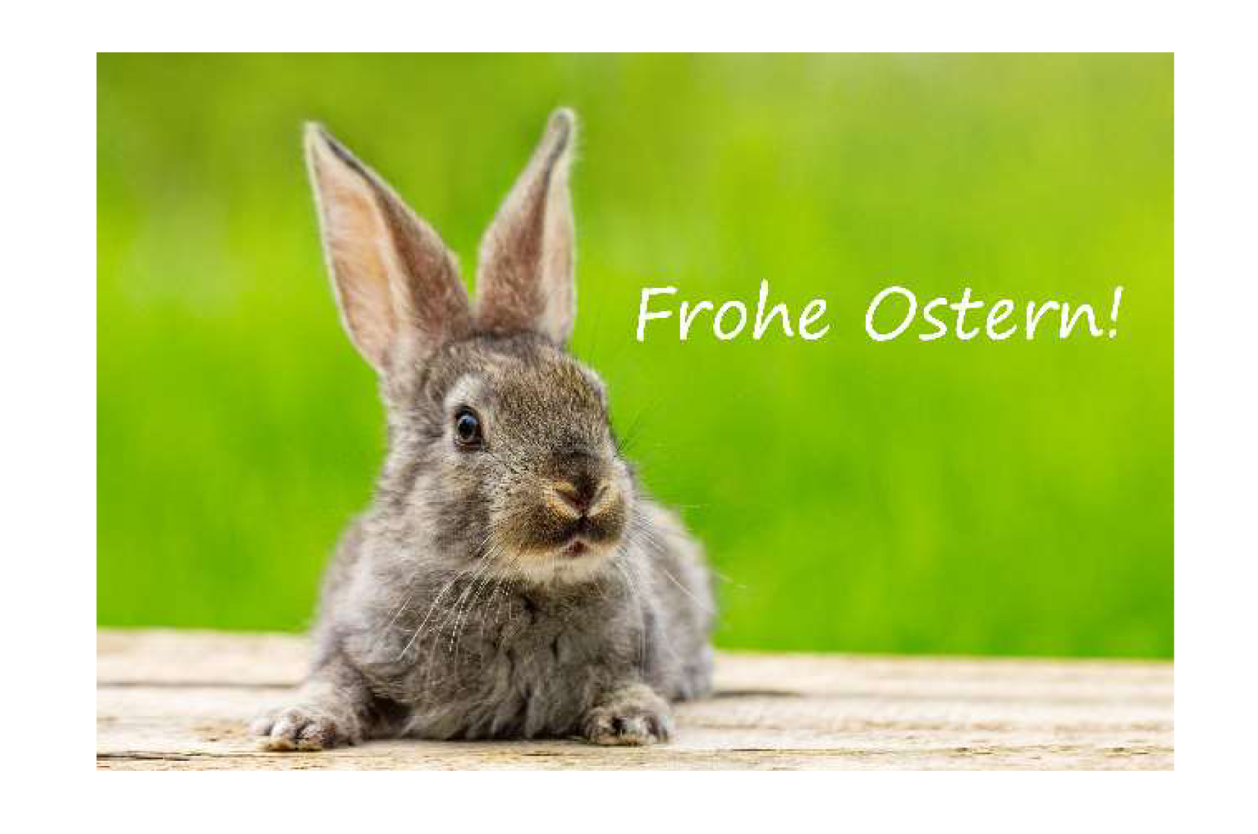 Fondant Kärtchen Frohe Ostern