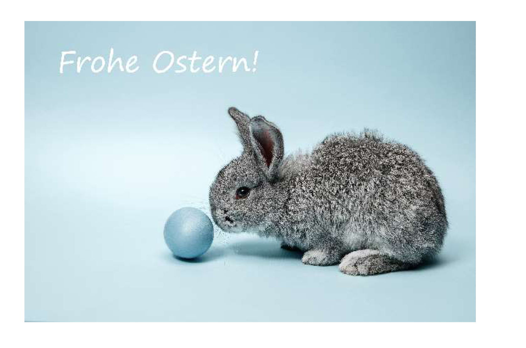 Fondant-Kärtchen „Frohe Ostern“ – 8 essbare Osteraufleger