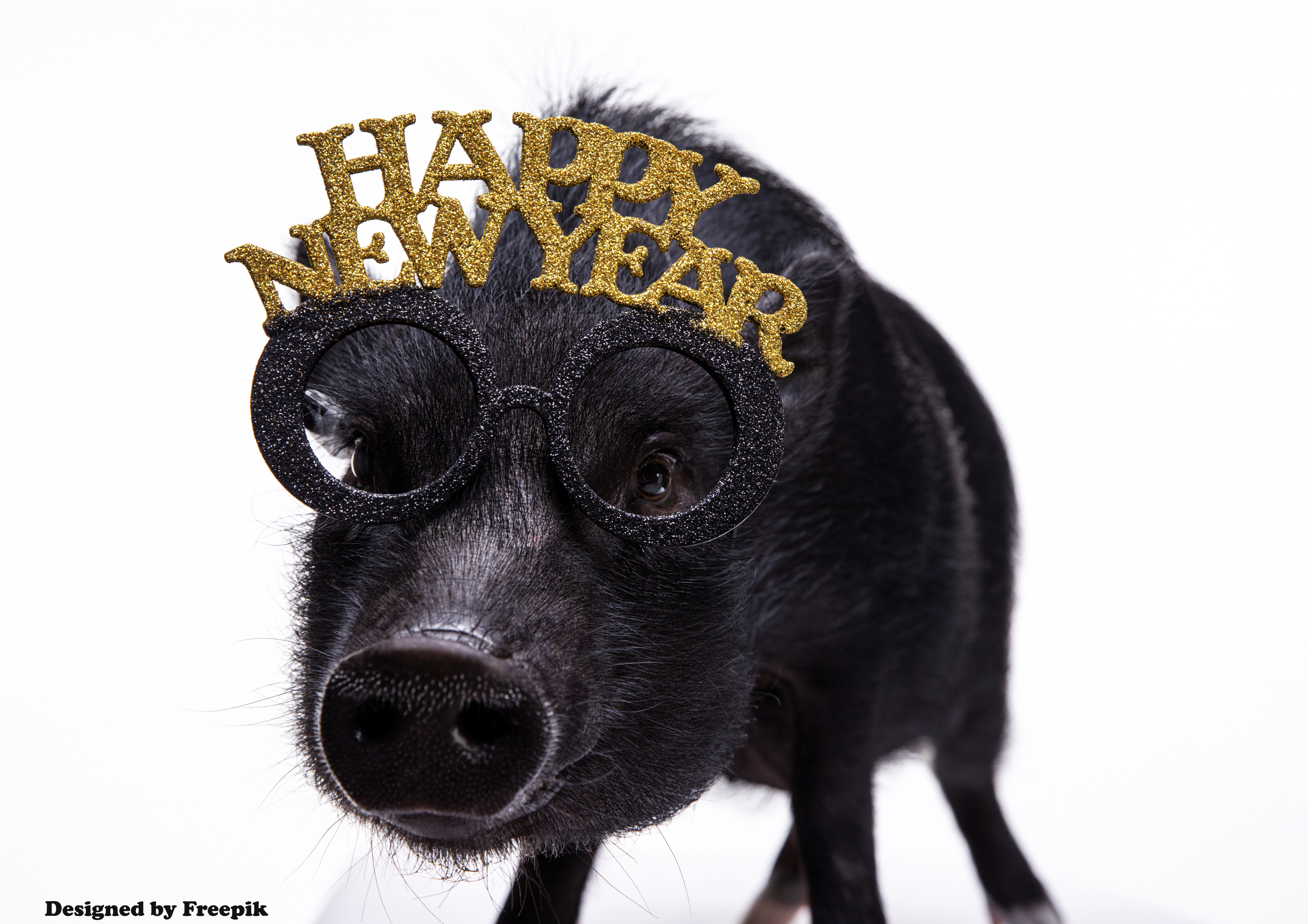 Tortenaufleger Silvester