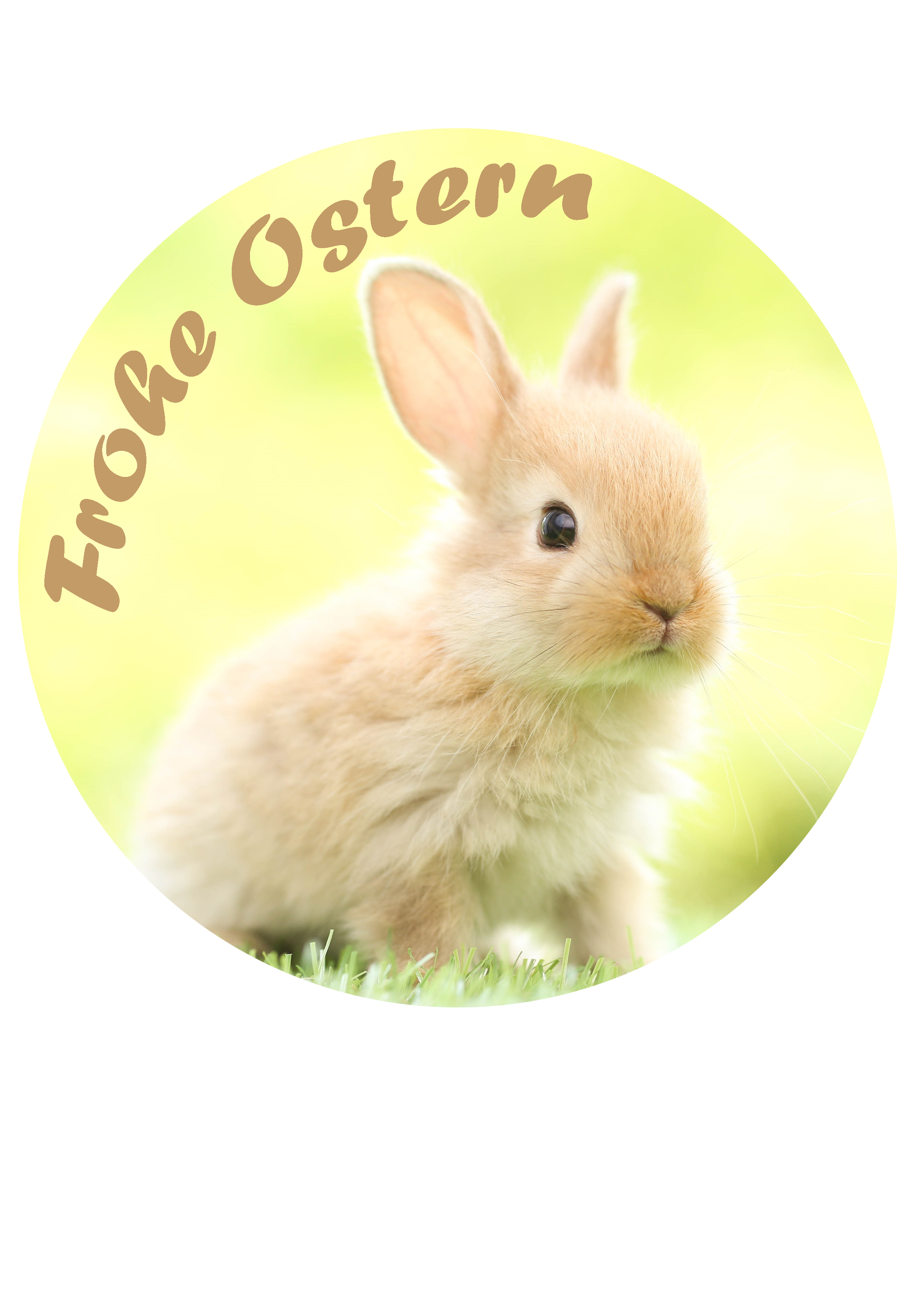 Tortenaufleger Osterhase Frohe Ostern