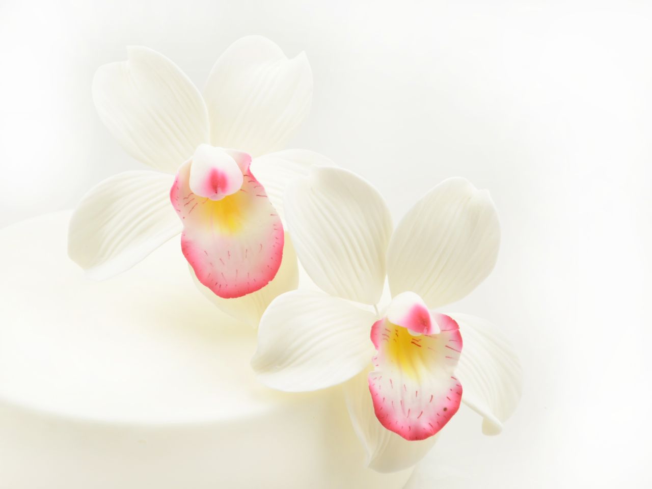 Zuckerblüten Cymbidium Orchidee – 2 Stück | Tortendeko Blumen Ø 9,5 cm