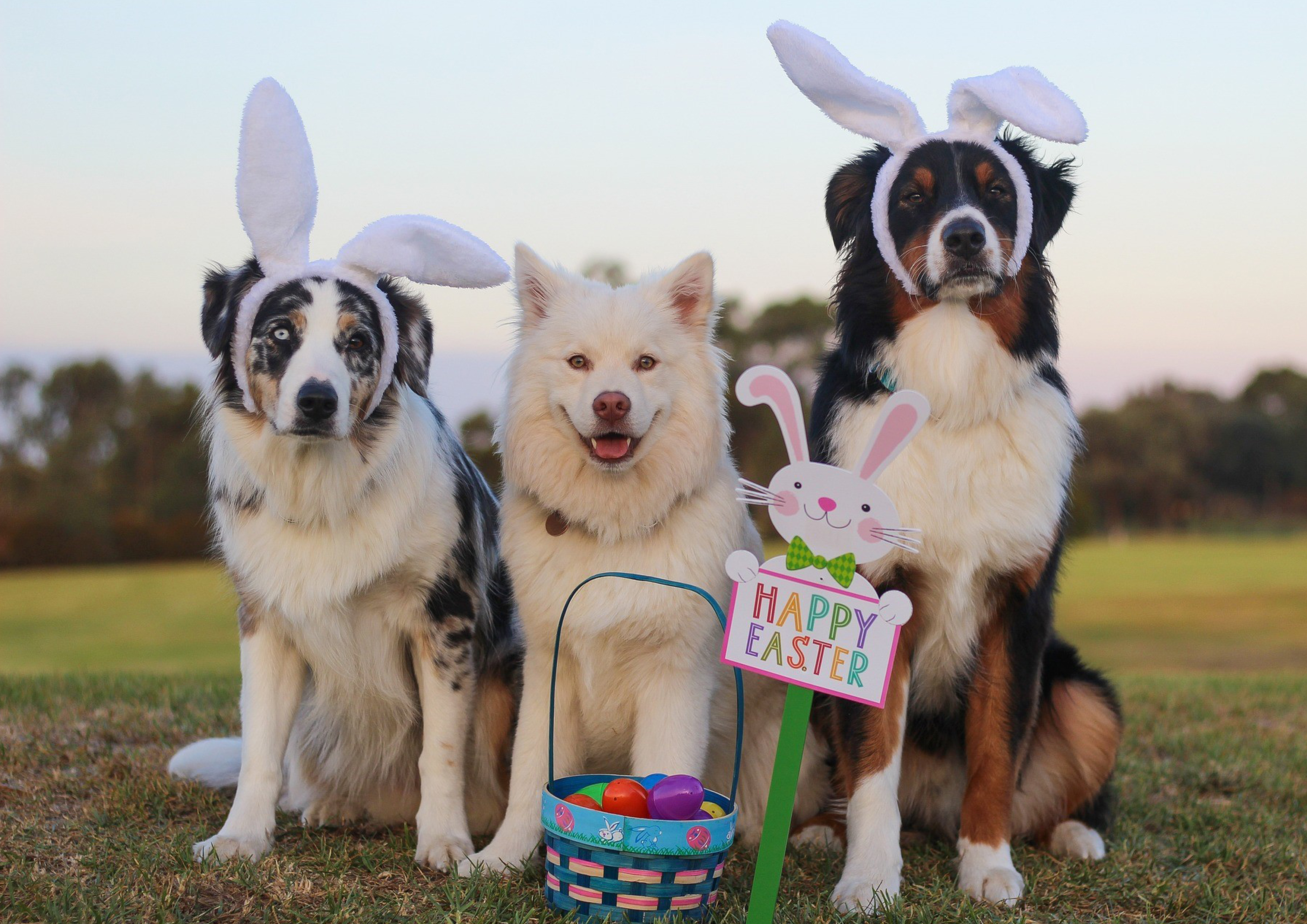 Tortenaufleger Frohe Ostern