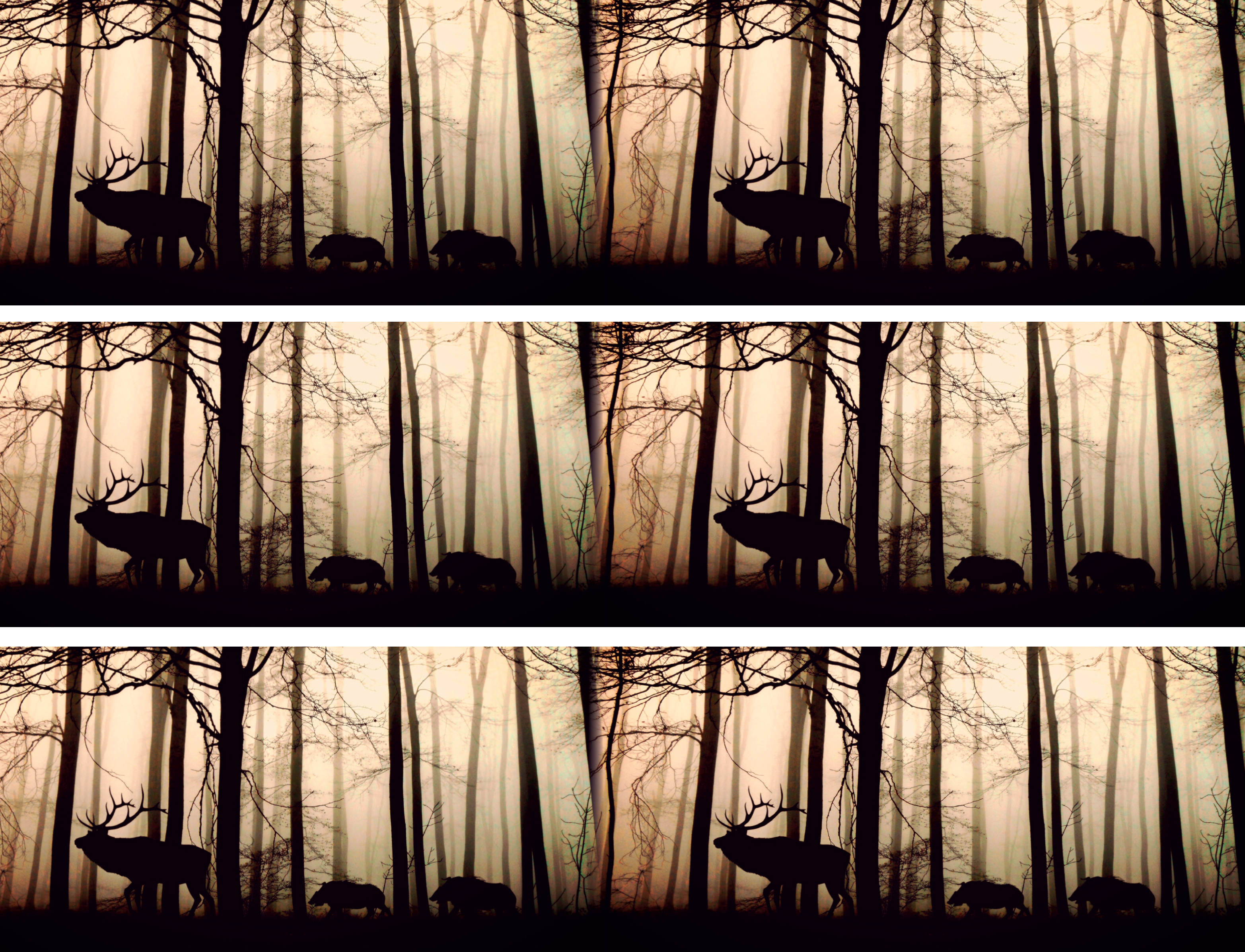 Tortenband Hirsch 2
