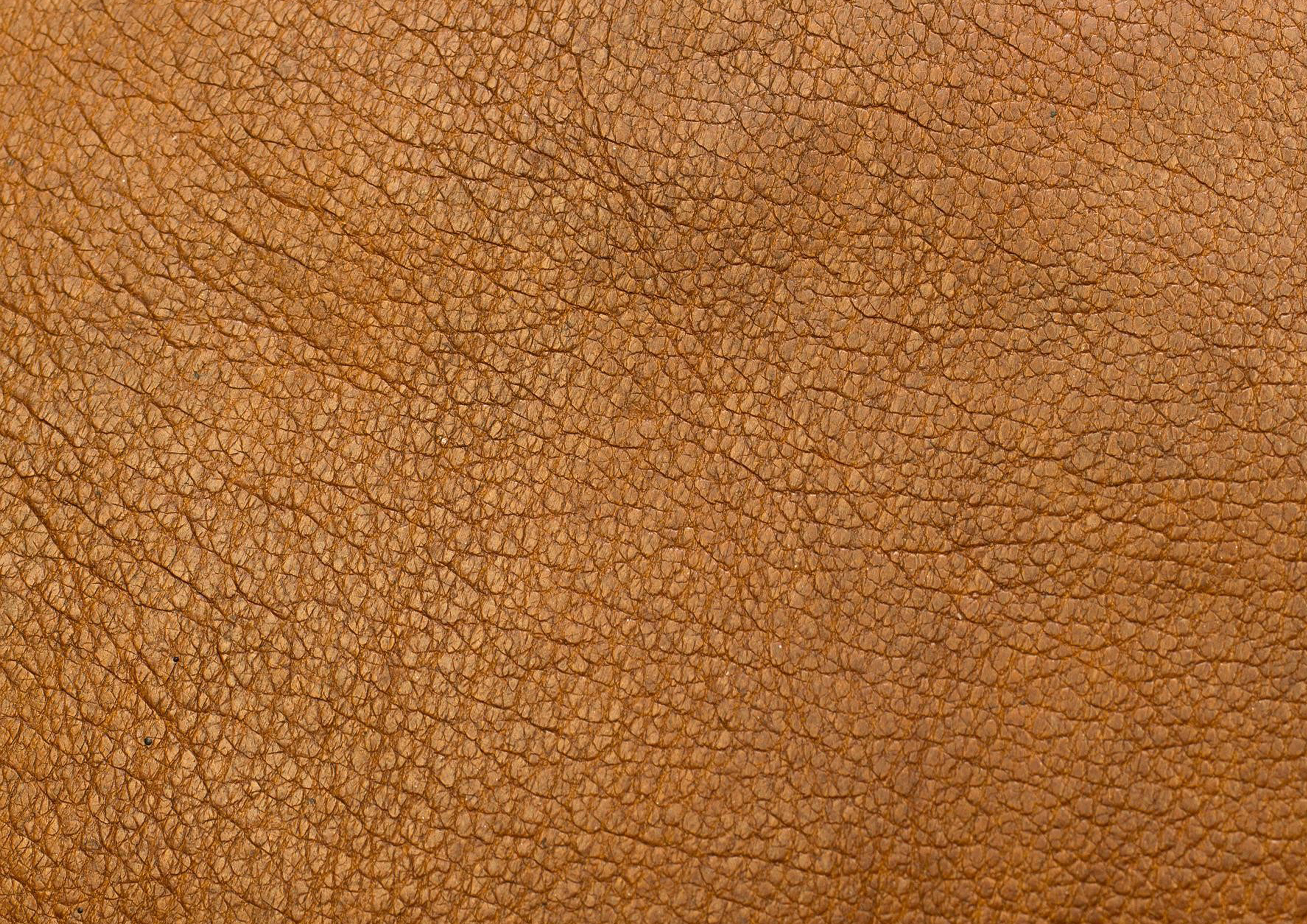 Wafer Paper / Oblatenpapier