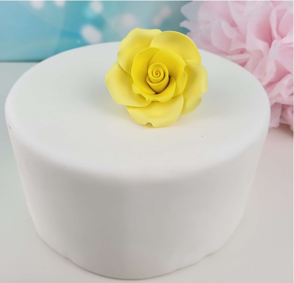 Zuckerblume Rose gelb L