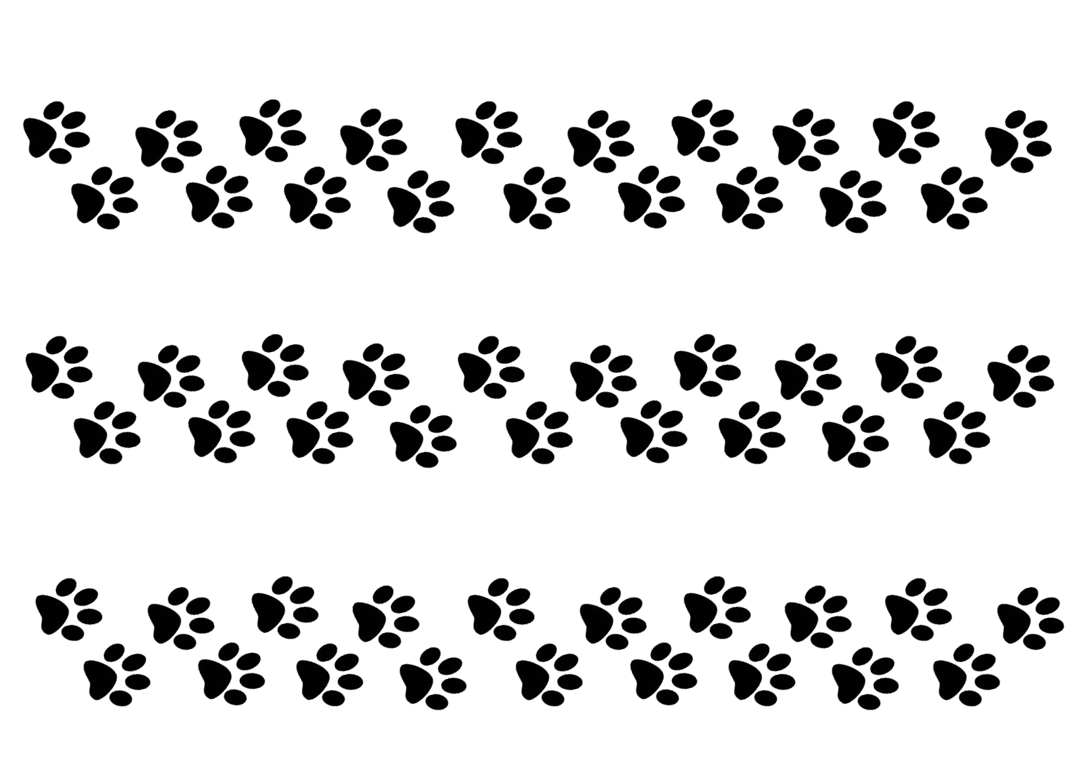 Wafer Paper Katzen