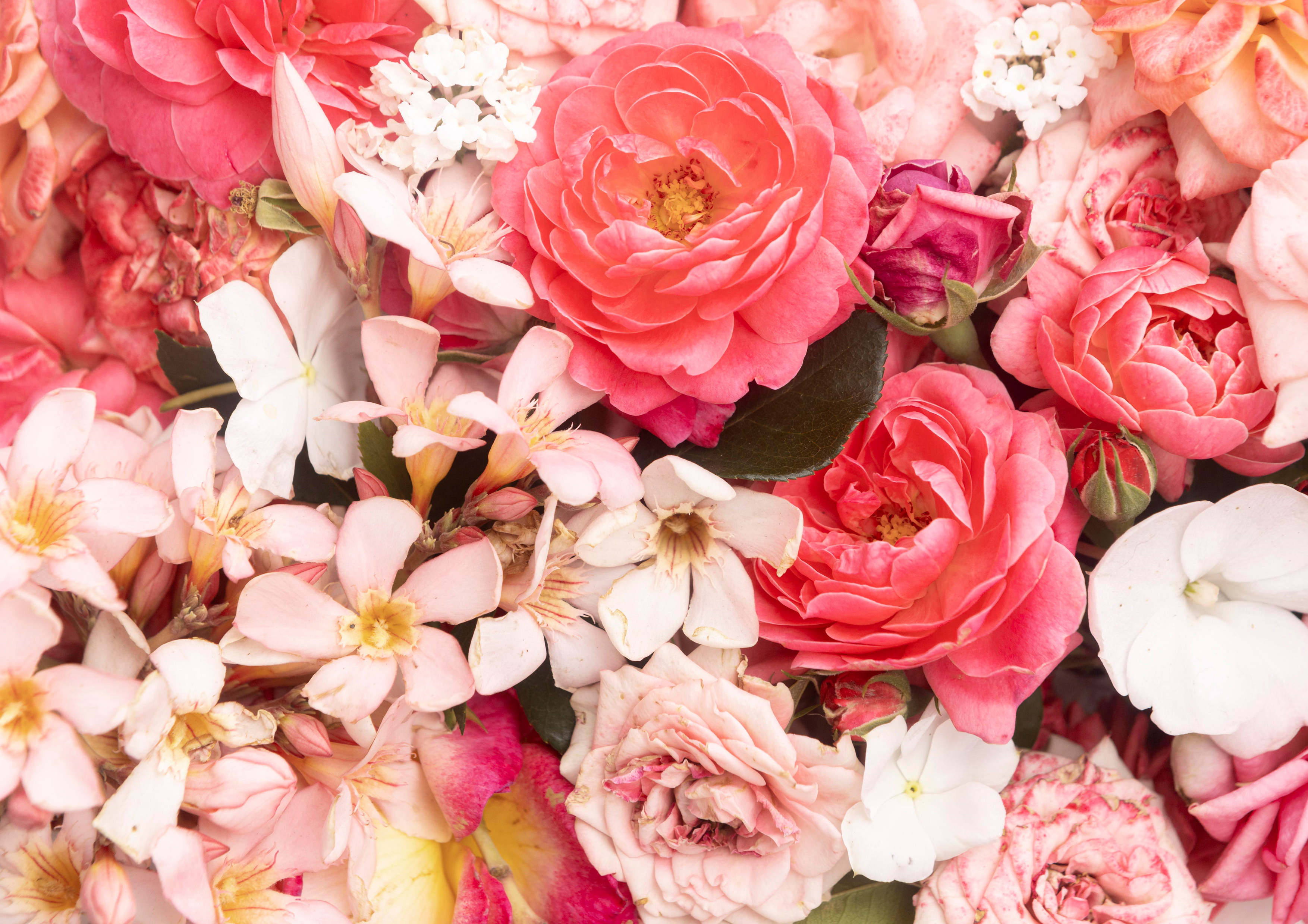 Deko Fondant  Blumen