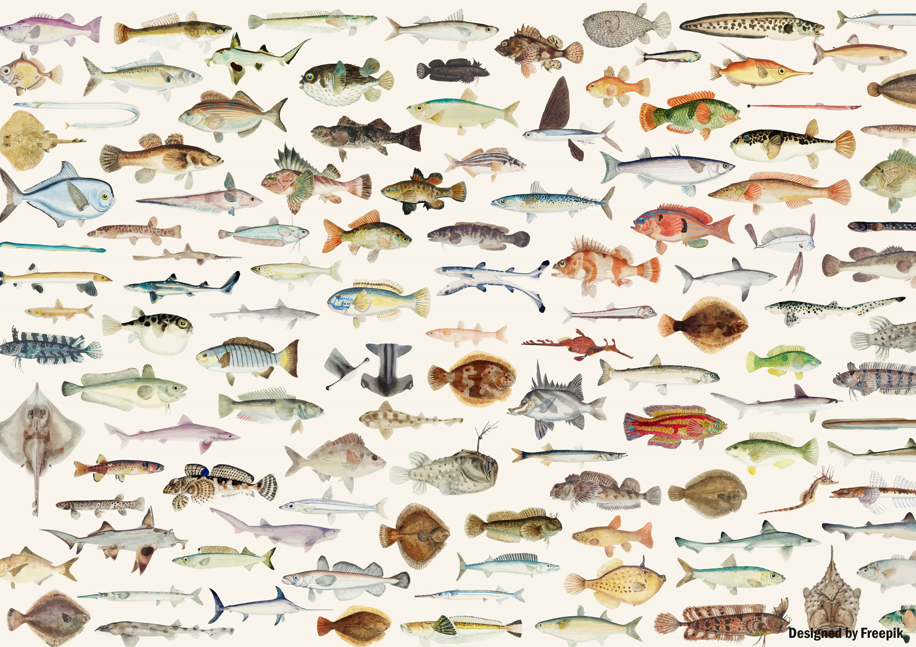 Deko Fondant Fische