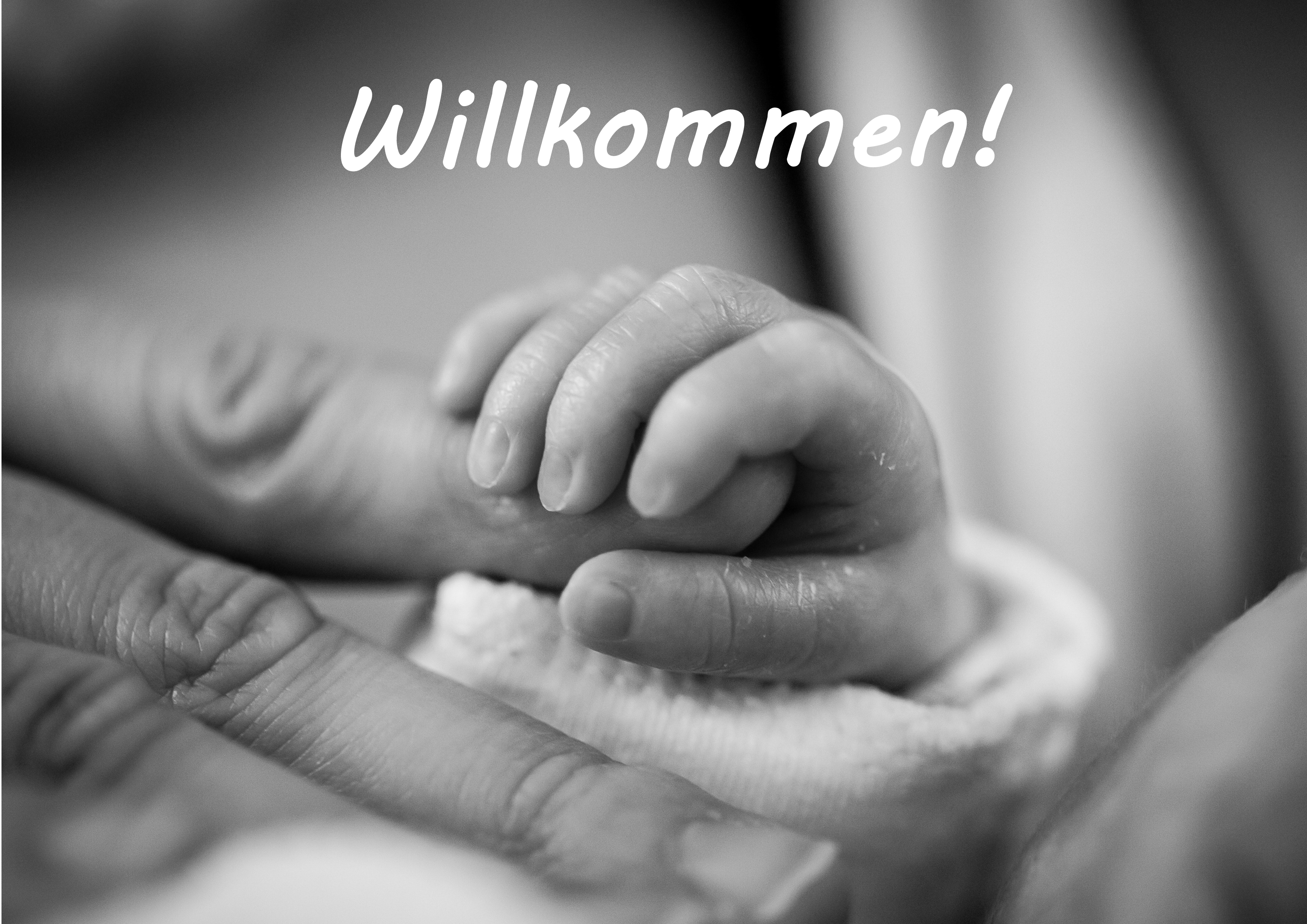 Tortenaufleger Willkommen!