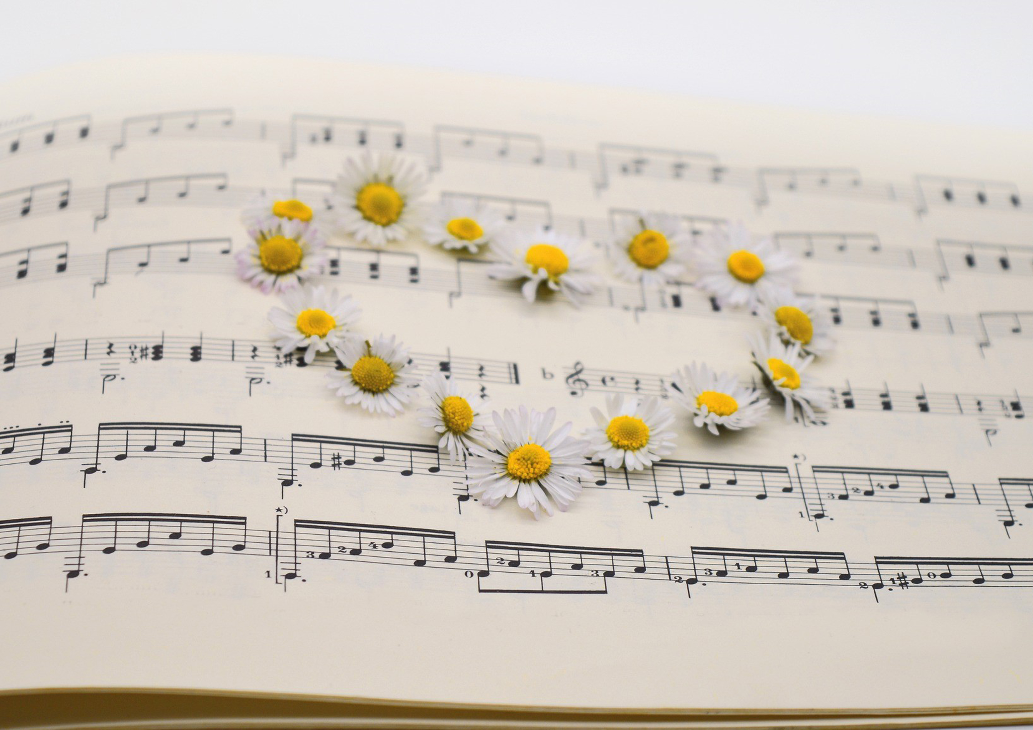 Deko Fondant Musik