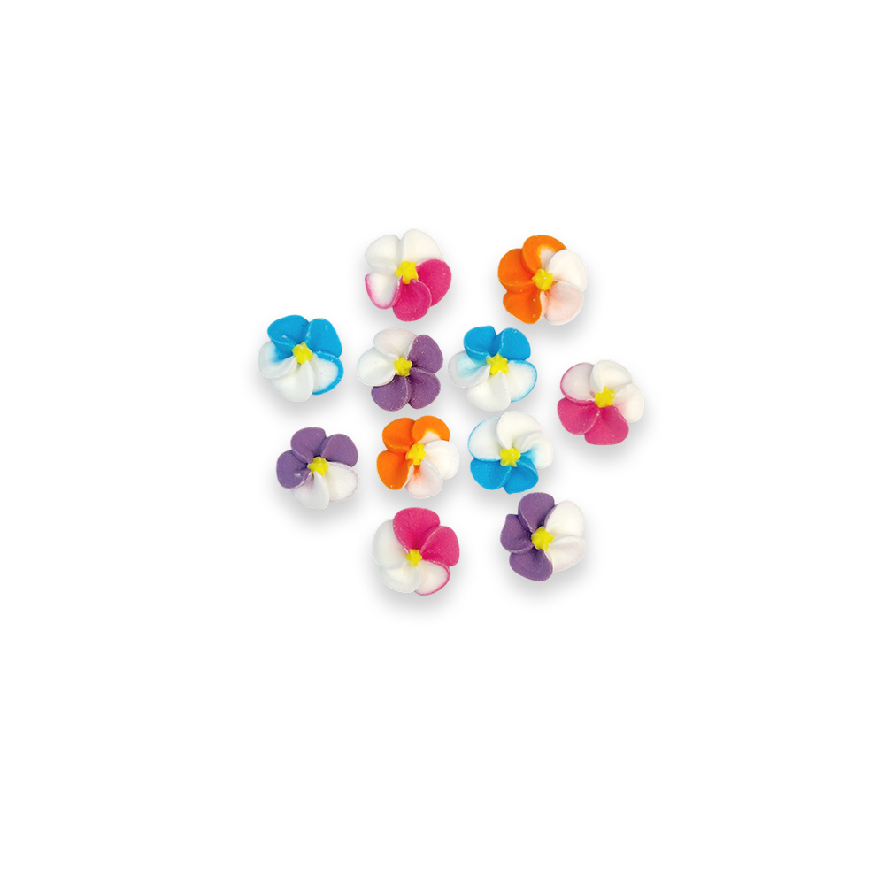 Zuckerblumen bunt Veilchen