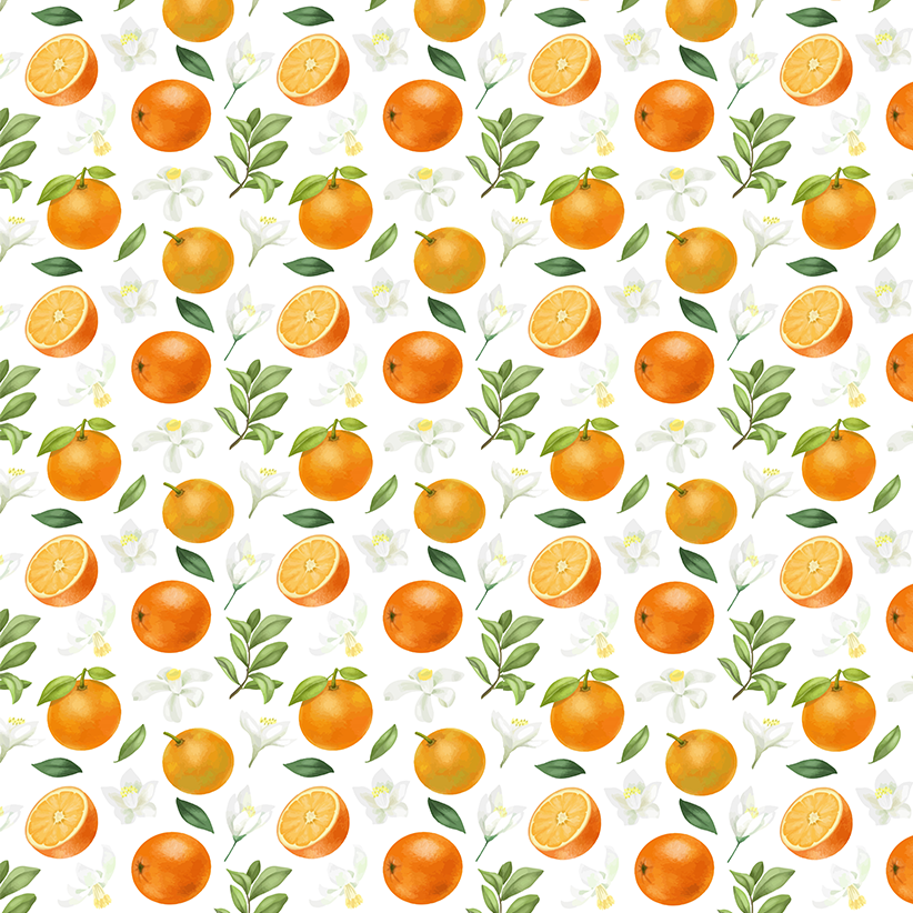 Schokoladen Transferfolien Orangen