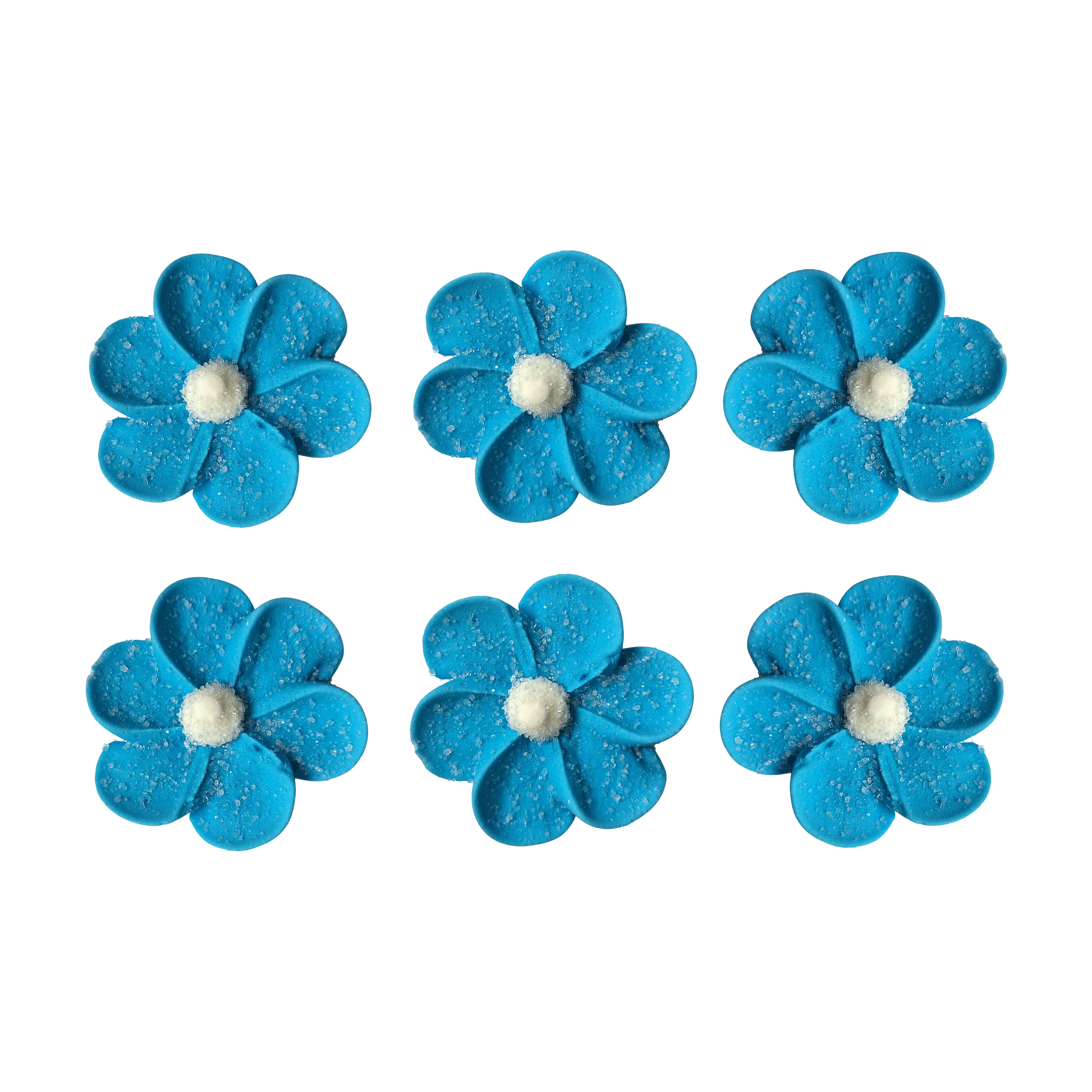 Zuckerblumen Anemonen BLAU –  6er Set – Ø 5 cm