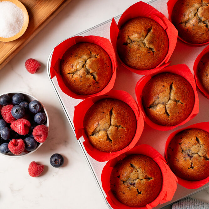 Tulpen-Muffinförmchen Rot – 24 Stück