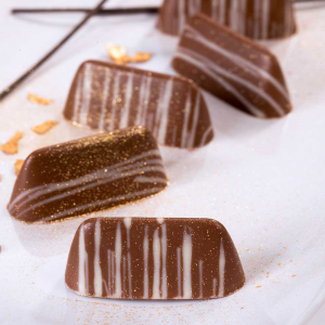 Profi Pralinen Gussform Gianduia