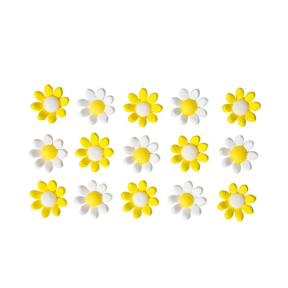 Margerite 15er Set Zuckerblume