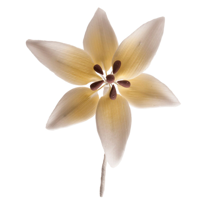 Zuckerblume Lilie weiß – Edle Tortendekoration für Hochzeit & Festtorten, ca. 8 cm