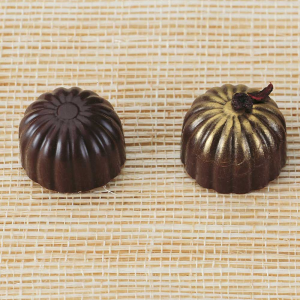 Profi Pralinen Gussform Kuppel MA1530