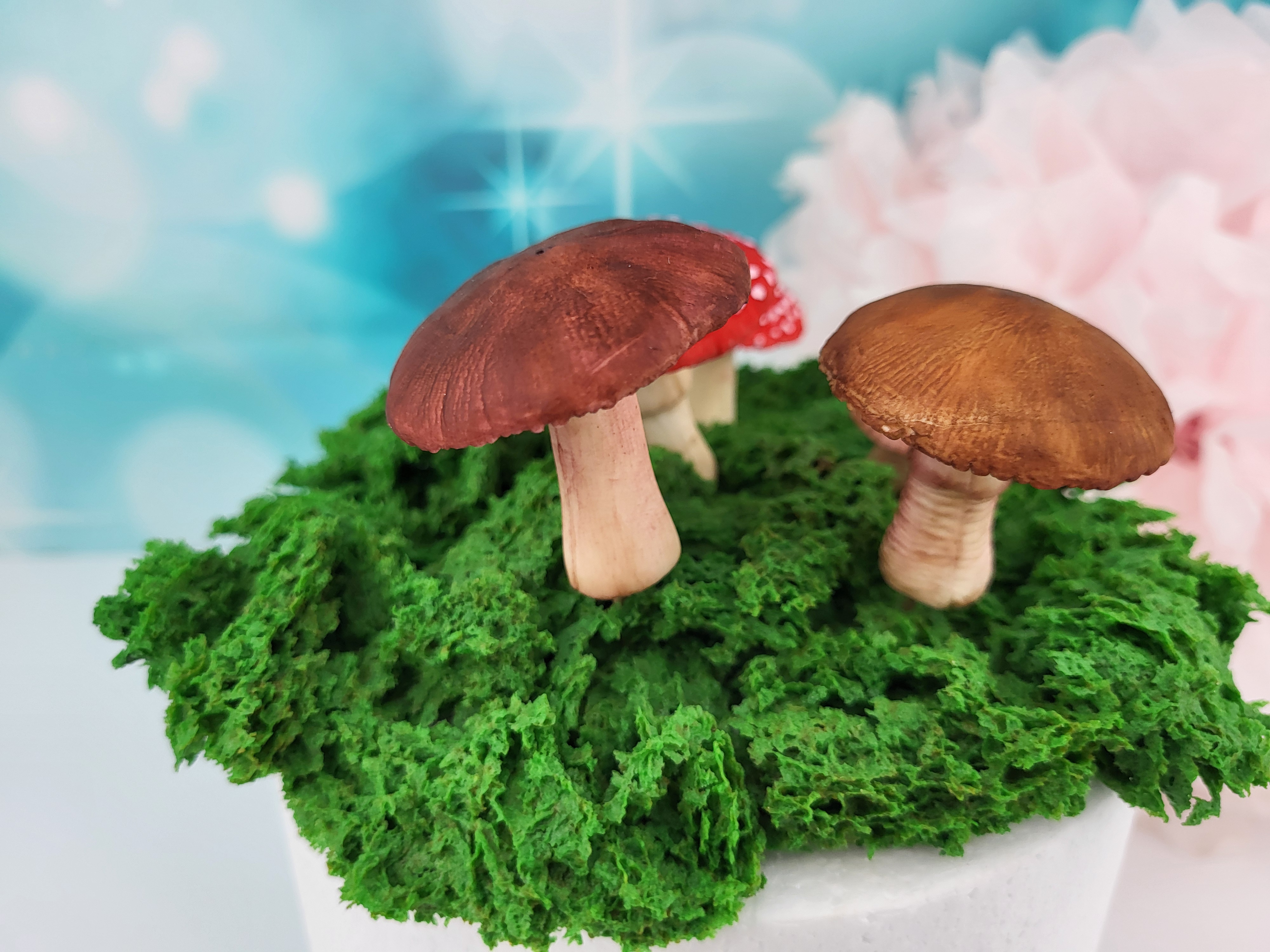 Fondantpilze mit essbarem Moos (6-teilig)